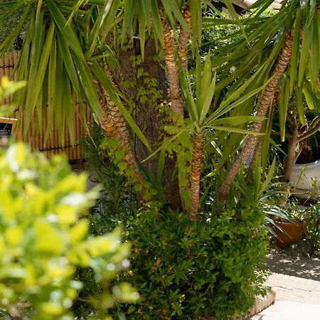 La Garoupe Gardiole Hotel Juan-les-Pins
